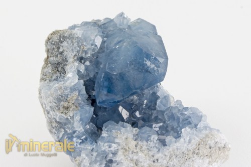 MN2378-3_minerali_collezione_cristalli_solfati_celestina.logo