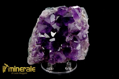 MN2389-1_minerali_collezione_silicati_quarzo_ametista_brasile.logo