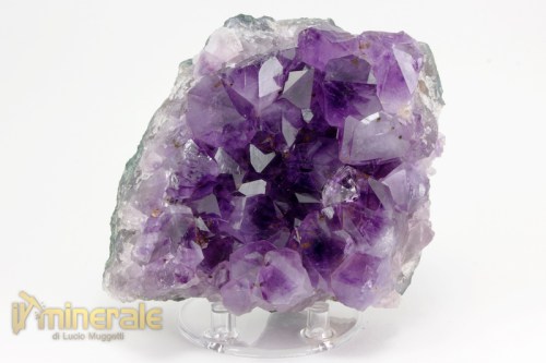 MN2389-2_minerali_collezione_silicati_quarzo_ametista_brasile.logo