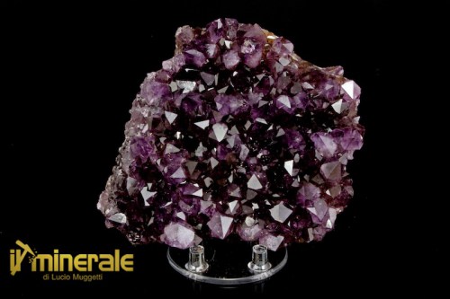 MN2390-1_minerali_collezione_silicati_quarzo_ametista_brasile.logo