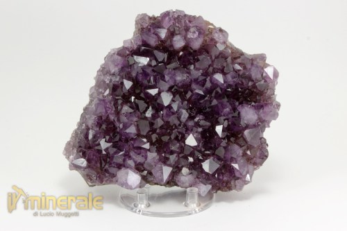 MN2390-2_minerali_collezione_silicati_quarzo_ametista_brasile.logo