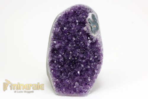 MN2395-2_minerali_collezione_silicati_quarzo_ametista_uruguay.logo