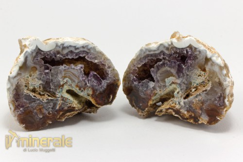 MN2403-2_minerali_collezione_geode_agata_ametista.logo