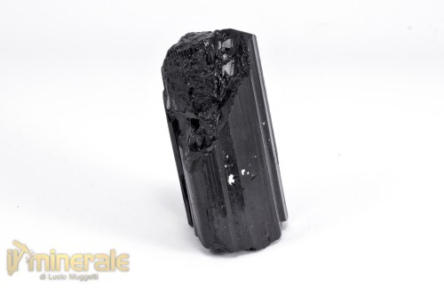 MN2404-3_minerali_collezione_pietrer_dure_tormalina_nera_sciorlite