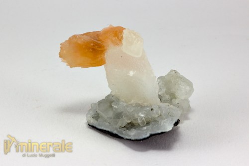 MN2432-3_minerali_collezione_heulandite_calcedonio_apofillite_india