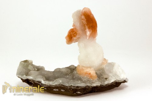 MN2434-3_minerali_collezione_heulandite_calcedonio_apofillite_india