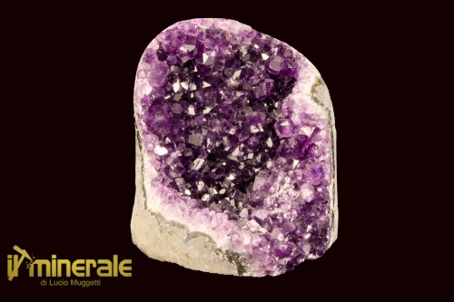 MN2476-1_minerali_collezione_arredamento_ametista_uruguay