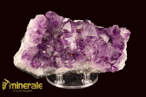 MN2484-1_minerali_collezione_arredamento_ametista_brasile