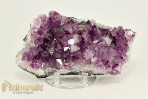 MN2484-2_minerali_collezione_arredamento_ametista_brasile