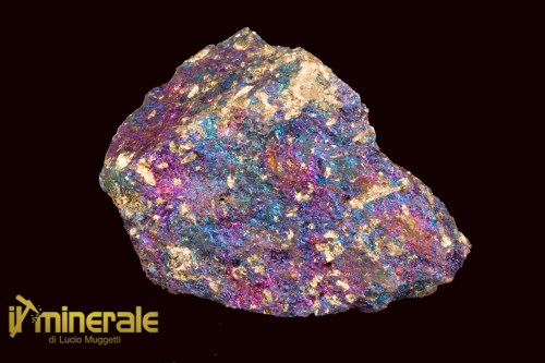 MN2486-1_minerali_collezione_calcopirite_erubescite_messico