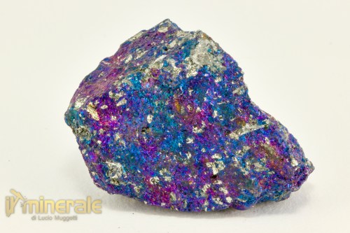 MN2486-2_minerali_collezione_calcopirite_erubescite_messico