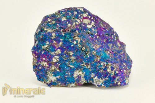 MN2486-3_minerali_collezione_calcopirite_erubescite_messico