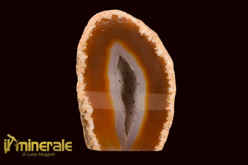 MN2489-1_minerali_collezione_nodulo_agata_corniola_brasile