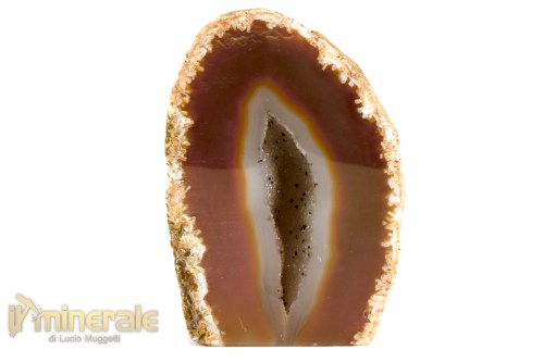 MN2489-2_minerali_collezione_nodulo_agata_corniola_brasile