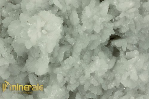 MN2521-3_minerali_collezione_Prehnite_verde_marocco