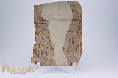 MN2530-2_minerali_collezione_pietre_lucidate_paesina_calcare_ruiniforme_trebbia