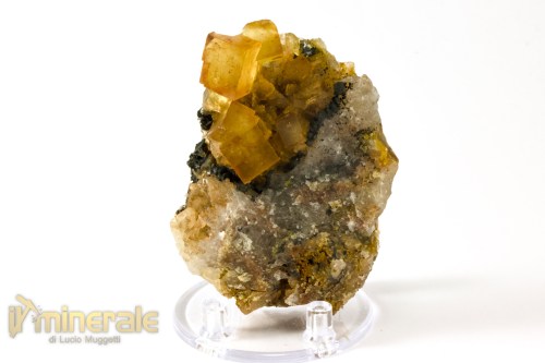MN2534-3_Minerali_collezione_fluorite_marocco