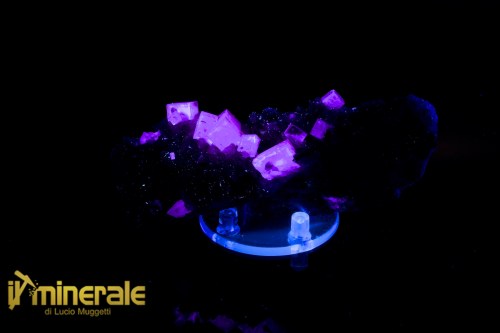 MN2535-2_Minerali_collezione_fluorite_marocco