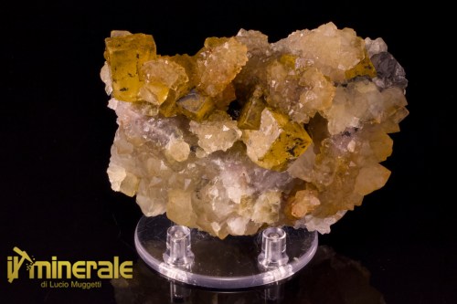 MN2536-1_Minerali_collezione_fluorite_marocco