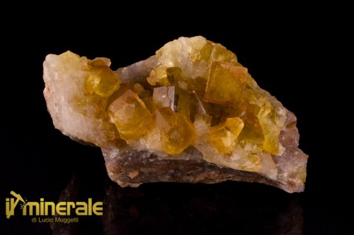 MN2537-1_Minerali_collezione_fluorite_marocco