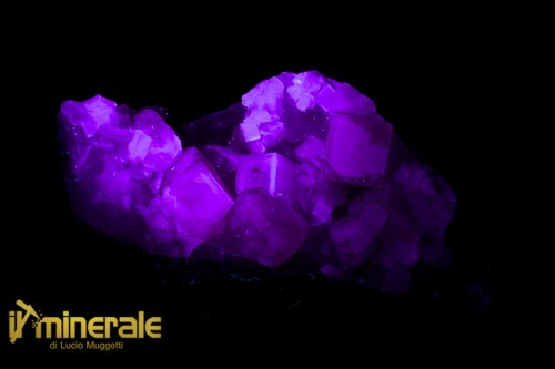 MN2537-2_Minerali_collezione_fluorite_marocco