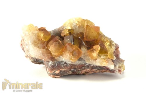 MN2537-3_Minerali_collezione_fluorite_marocco