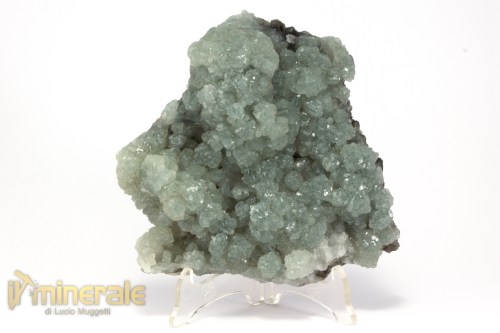 MN2541-2_minerali_collezione_prehnite_,marocco