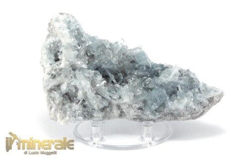 MN2564-2_minerali_collezione_solfati_celestina_madagascar