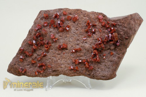 MN328-2_minerali_collezione_vanadinite_marocco.logo