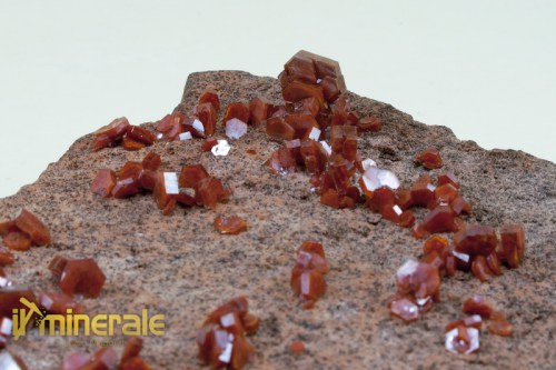 MN328-3_minerali_collezione_vanadinite_marocco.logo