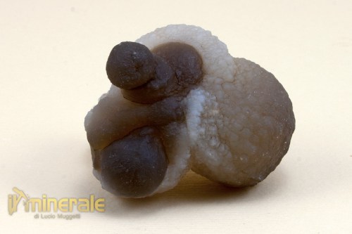 MN634-2_minerali_collezione_noduli_calcedonio_marocco.logo