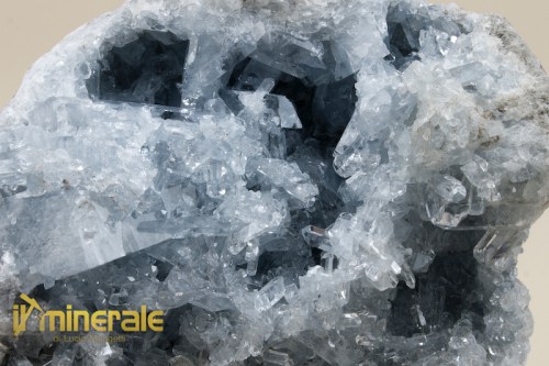 MN651-3_minerali_collezione_celestina_madagascar.logo