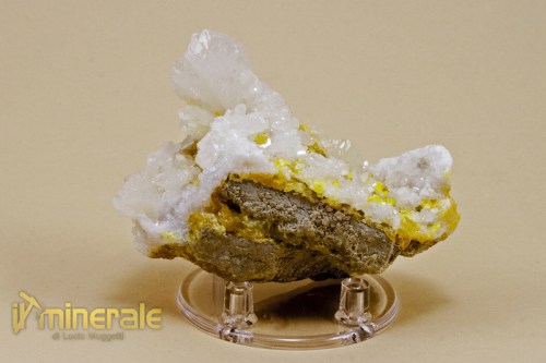 MN831-2_minerali_collezione_elementi_nativi_zolfo_aragonite_sicilia.logo