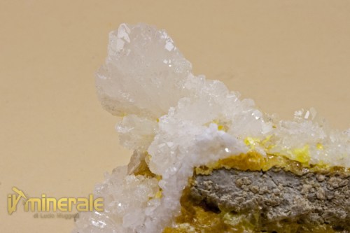 MN831-3_minerali_collezione_elementi_nativi_zolfo_aragonite_sicilia.logo