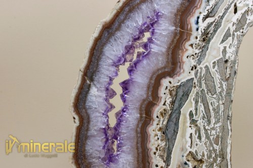 OG001-4_minerali_collezione_arredamento_agata_ametista.logo