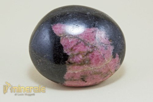 OG289-3_minerali_cristalloterapia_arredamento_collezione_ciotolo_rodonite.logo