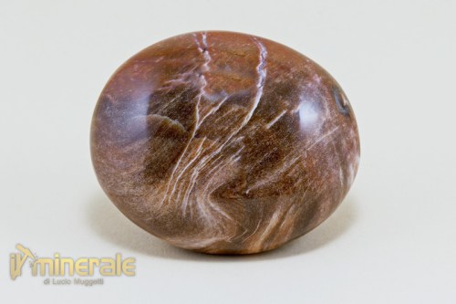 OG302-2_minerali_cristalloterapia_arredamento_collezione_ciotolo_legno_fossile.logo