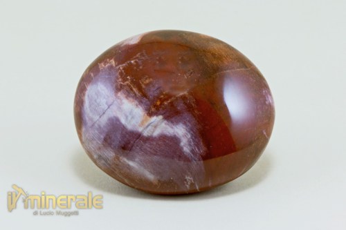 OG302-3_minerali_cristalloterapia_arredamento_collezione_ciotolo_legno_fossile.logo