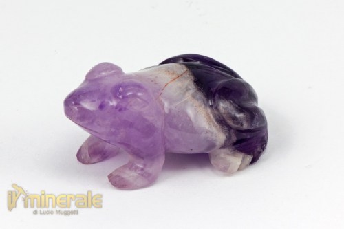 OG495-2_minerali_collezione_arredamento_oggetti_lavorati_incisioni_rana_ametista.logo