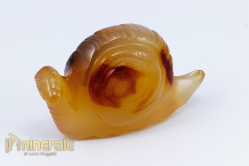 OG499-2_minerali_collezione_arredamento_oggetti_lavorati_incisioni_chiocciola_agata_corniola.logo