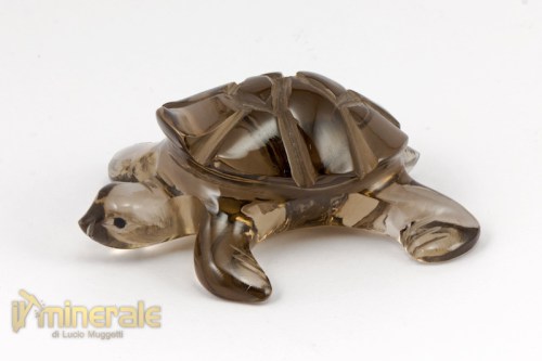 OG501-2_minerali_collezione_arredamento_oggetti_lavorati_incisioni_tartaruga_quarzo_affumicato.logo