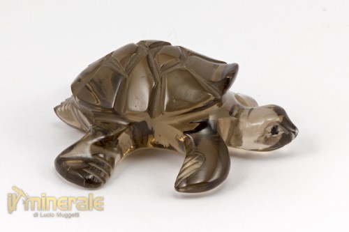 OG501-3_minerali_collezione_arredamento_oggetti_lavorati_incisioni_tartaruga_quarzo_affumicato.logo