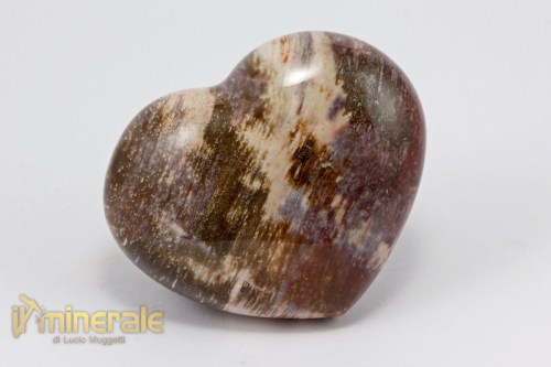 OG519-2_minerali_collezione_oggettistica_arredamento_legno_fossile_silicizzato_cuore.logo