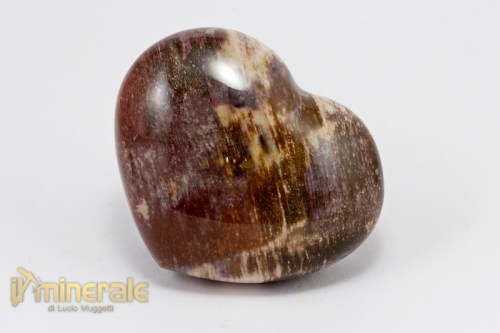 OG519-3_minerali_collezione_oggettistica_arredamento_legno_fossile_silicizzato_cuore.logo