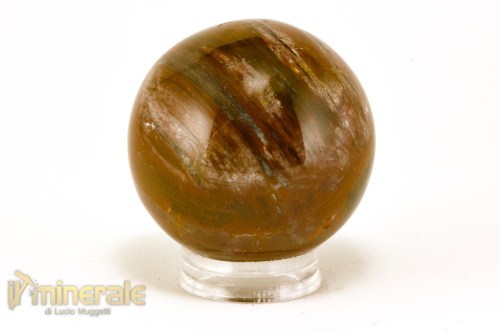 OG717-2_minerali_oggetti_lavorati_collezione_arredamento_cristalloterapia_pietre_dure_sfera_legno_fossile_silicizzato