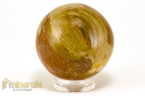 OG718-3_minerali_oggetti_lavorati_collezione_arredamento_cristalloterapia_pietre_dure_sfera_legno_fossile_silicizzato