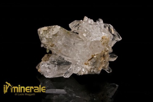 mn407-1_minerali_collezione_quarzo_ialino_pakistan-logo