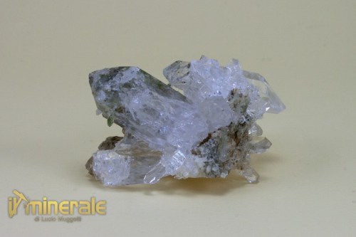 mn407-2_minerali_collezione_quarzo_ialino_pakistan-logo