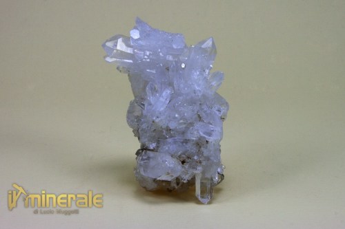 mn408-2_minerali_collezione_quarzo_ialino_pakistan-logo