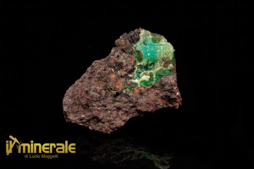 mn620-1_minerali_collezione_quarzo_crisocolla_messico.logo